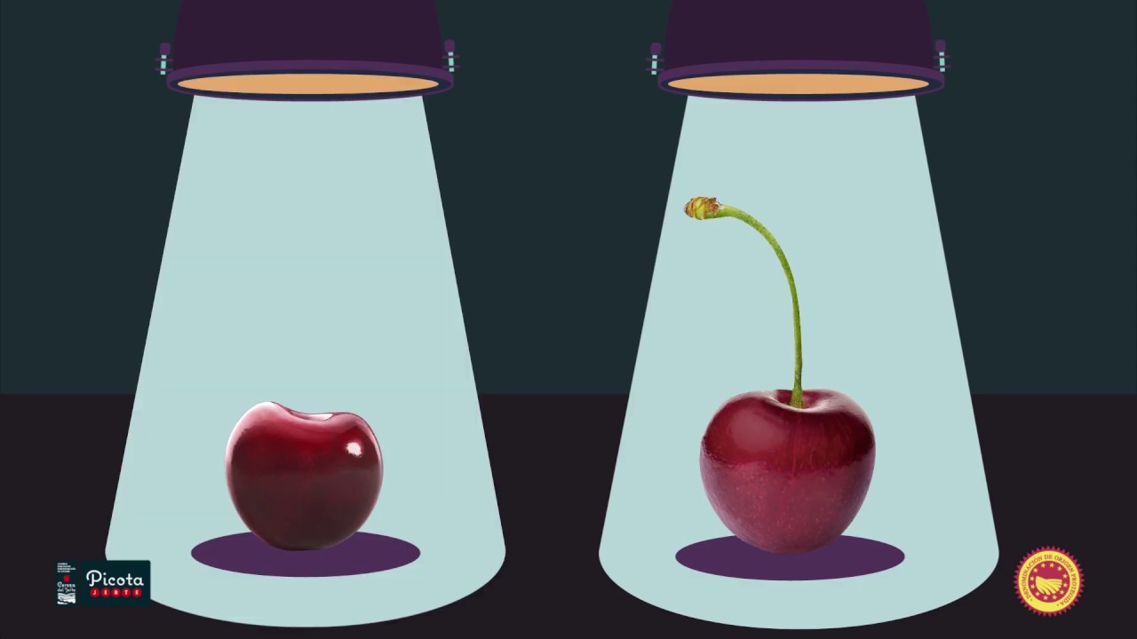 El origen del sabor. Diferencias entre picotas del Jerte y cerezas