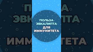 Польза Эвкалипта Для Иммунитета #Шишонин #Здоровье #Эвкалипт