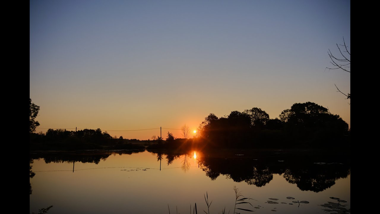 Азиялық лесбиянки анальный секс порно онлайн