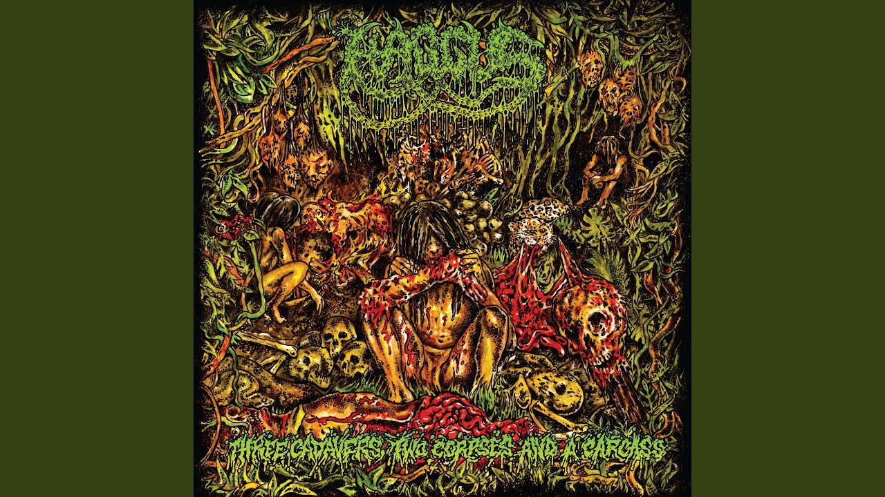 Rotten and Forgotten - YouTube