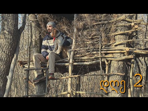 ხეზე ქოხს ვაშენებთ - დღე 2 ( თითქმის დასრულდა ! )