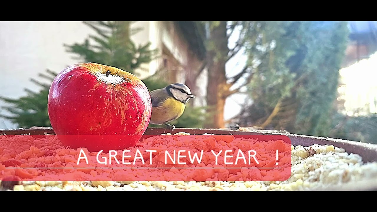 A GREAT NEW YEAR ! - YouTube