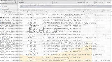 UC Berkeley - 20/30 Webinars: Series #4 Researching POs in Preparation For Fiscal Close