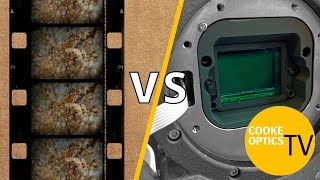 Film vs Digital: The Big Debate || Spotlight