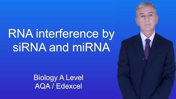 A Level Biology Revision (Year 13) "RNA Interference by siRNA and miRNA"