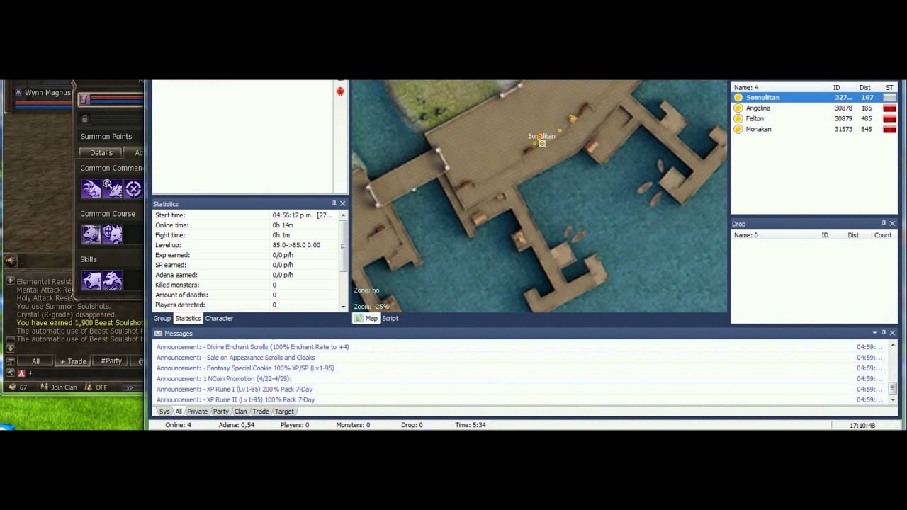 How to set use of summon soulshot skill and beast soulshot pack