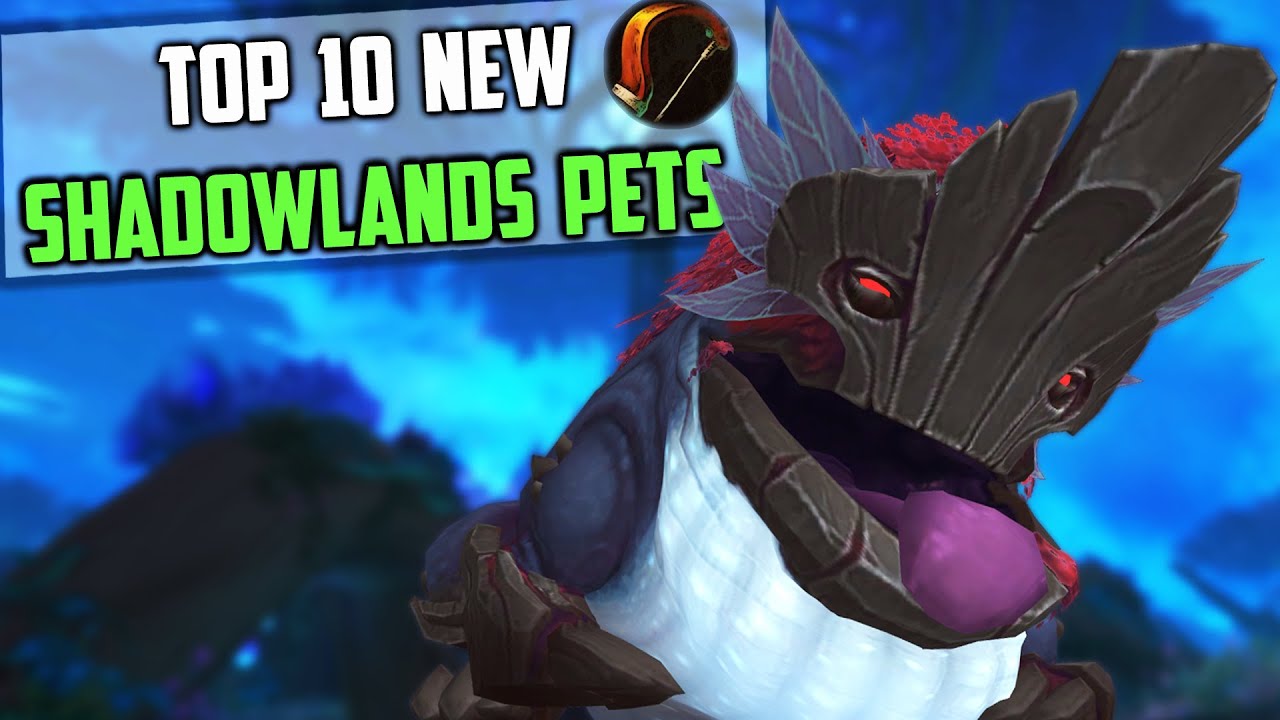 Top 10 New Hunter Pets Tamable in Shadowlands Zones WoW ...