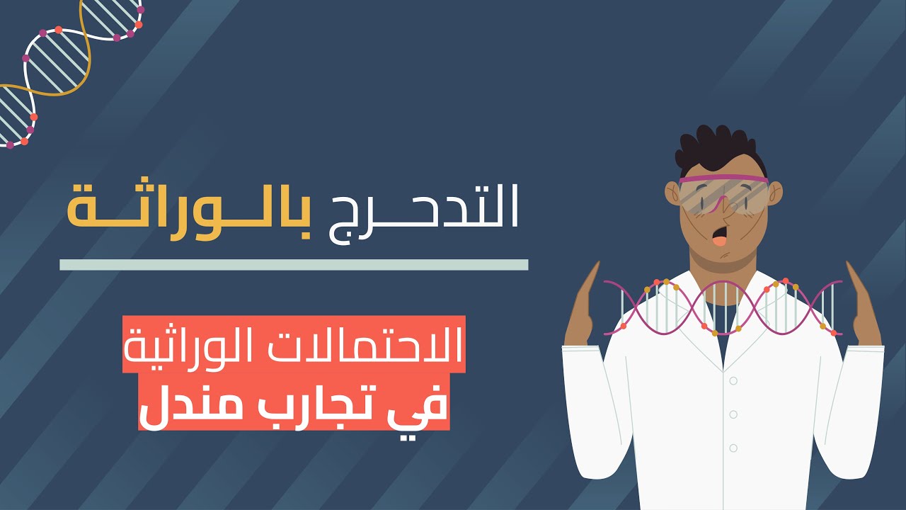 التدحرج بالوراثة | الإحتمالات الوراثية في تجارب مندل