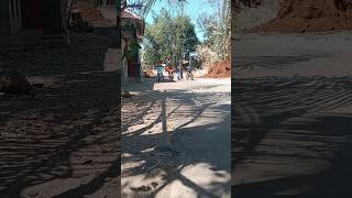 Embul Live Race Nih Boss