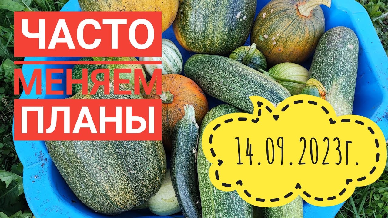 Готовим грядку с осени/Подготовка забора/Урожай без нас#сибирь#влог# ...