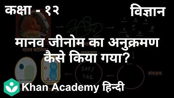 How was the human genome sequenced? [Hindi] | Molecular basis of inheritance | 12th | Biology