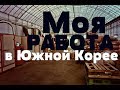 2.4.Влажный день на Фабрике специй.Работа в Корее 2 сезон.Sibirskiy Drug.