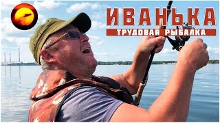 видео: Осенняя рыбалка / Джиг на Волге / Поиск судака и окуня /  Иваньковское водохранилище / Конаково 2018 картинка: Осенняя рыбалка / Джиг на Волге / Поиск судака и окуня /  Иваньковское водохранилище / Конаково 2018