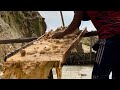 rocky coral mixed with sand together contains thousands, even millions, of pure gold. ⚒️💰 