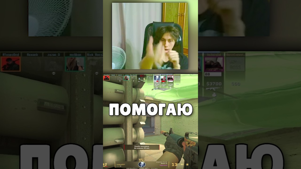 ИДЕАЛЬНАЯ ПОМОЩЬ 