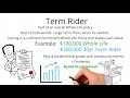 Everything you didn’t know about Term Insurance