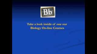 Biology Online at Stony Brook University