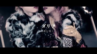 WIXIZ 3rd SINGLE「ダリア-喪失に咲く花-」MUSIC VIDEO FULL
