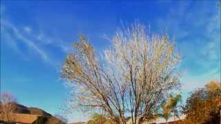 Mobius Camera Timelapse @720P