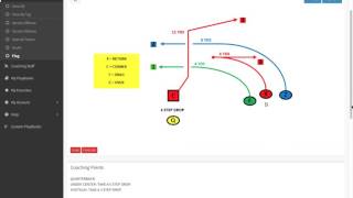 Flag Football Color System screenshot 5