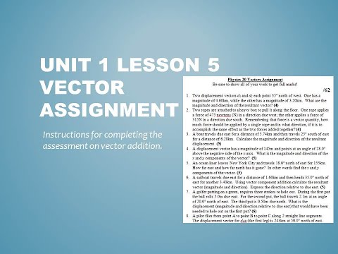 Vector Assignment