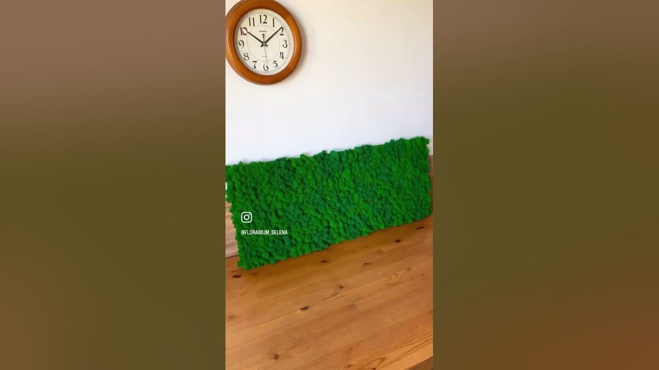 Фито-панель из стабилизированного мха была сделана на заказ💚Возможен ...