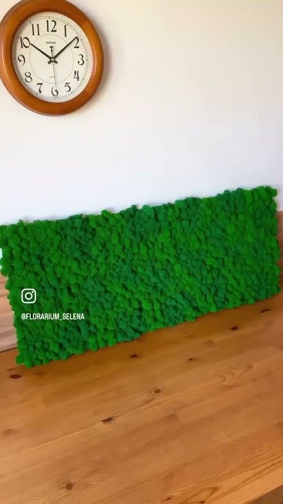 Фито-панель из стабилизированного мха была сделана на заказ💚Возможен ...