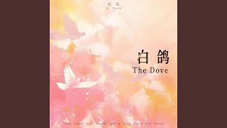 白鸽 (英文版the Dove) - 七元