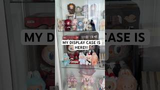 Display case for my Popmart addiction 😂 #popmart #blindbox #labubu #display #collectibles