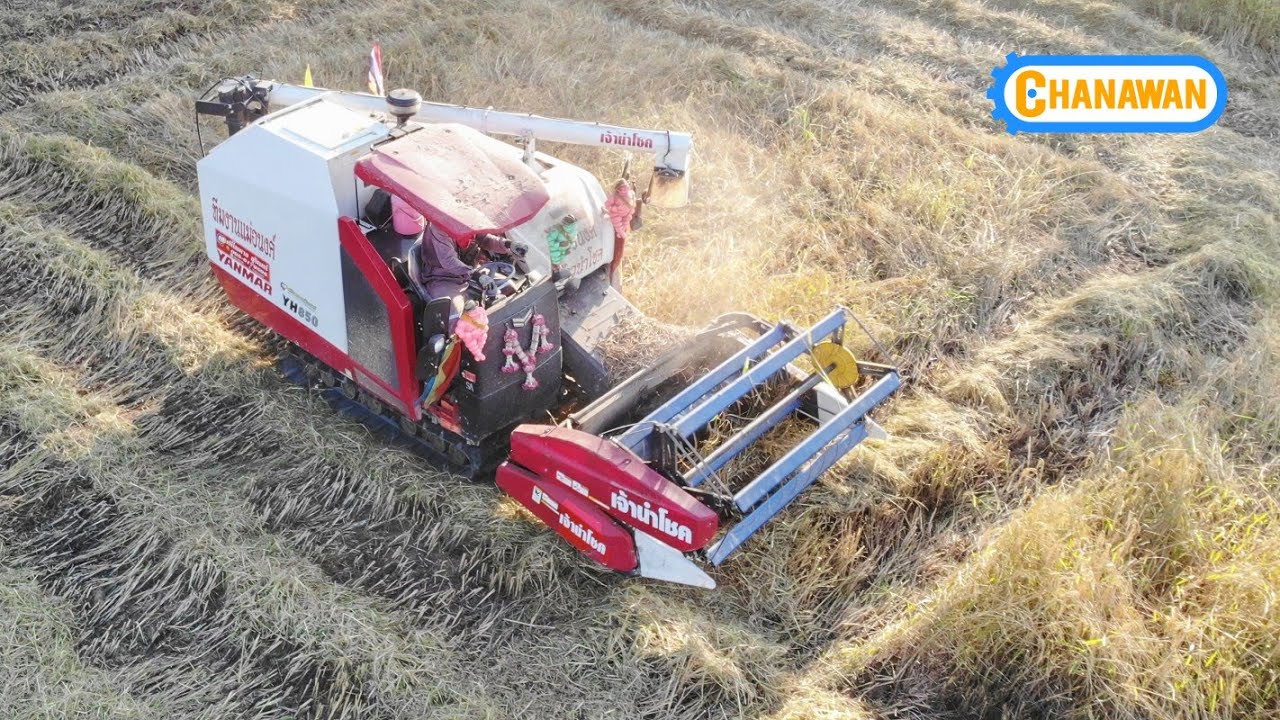 รถเกี่ยวนวดข้าวยันม่าร์ YANMAR YH850 รถอุ้มถังจุตันกว่า แรงเร็วจริง!!