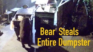 How greedy can you get? Bear thief caught on camera stealing entire dumpster