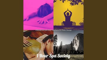 Classic Koto and Strings - Vibe for Body Cleansing