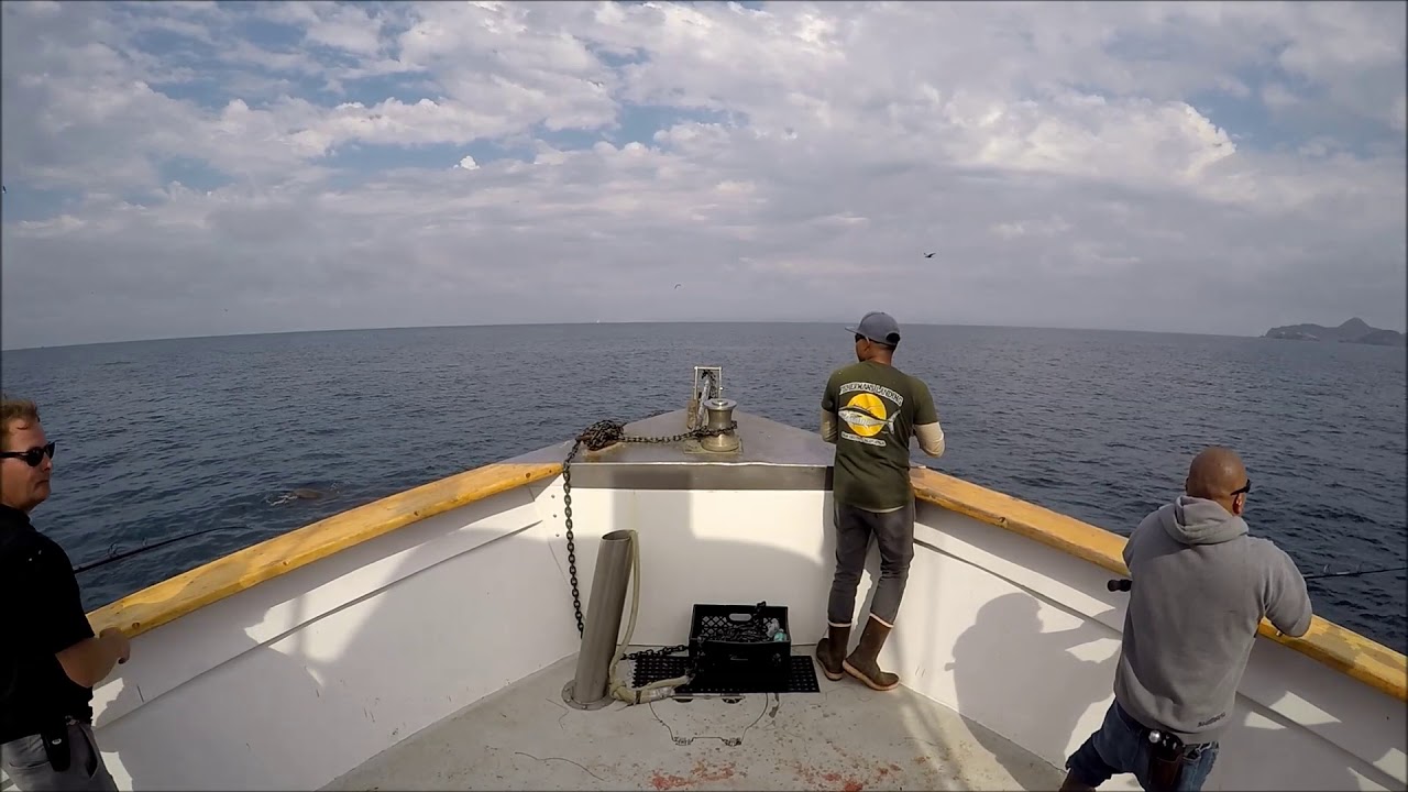 9/10/2017 Liberty Sportfishing