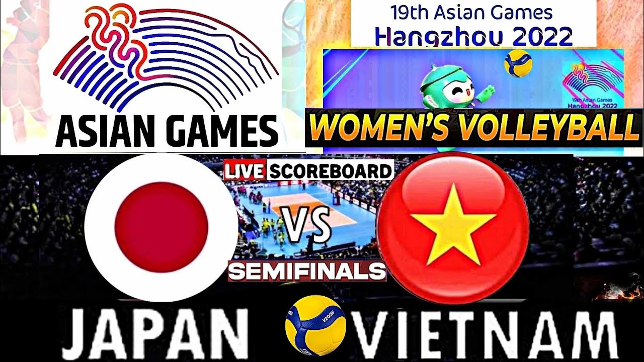 pptvhd36 volleyball live