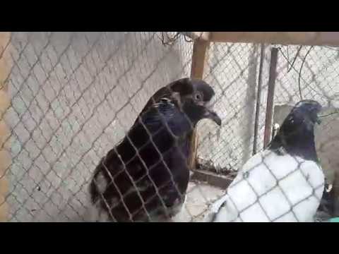 2018 BEST TAAAAAAAAAAAAAAAADI