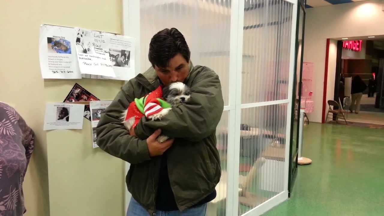 Bandit is reclaimed by his owner after being lost for 5 years!