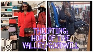 Thrift With Me Hope Of The Valley/Goodwill For Contemporary & High-End (What I Got)
