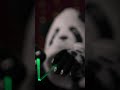 Let the Green Light Clear Your Mind 🐼 ASMR #asmrvideo