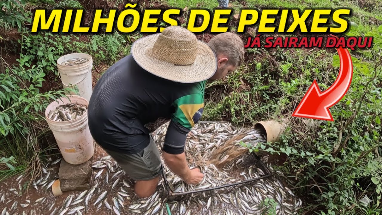 Esgotamos o açude por inteiro 