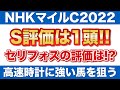【NHKマイルカップ2022 予想】S評価は一頭のみ！セリフォス・ダノンスコーピオンの評価は！？