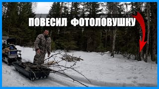 Установил фотоловушку на зайчиков. Сделал приманку из осиновых веток. Заправил солонцы солью.