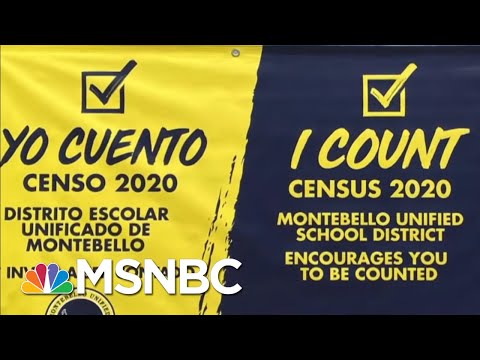 Ending The Census Early Could Have Huge Political Consequences - Day That Was | MSNBC