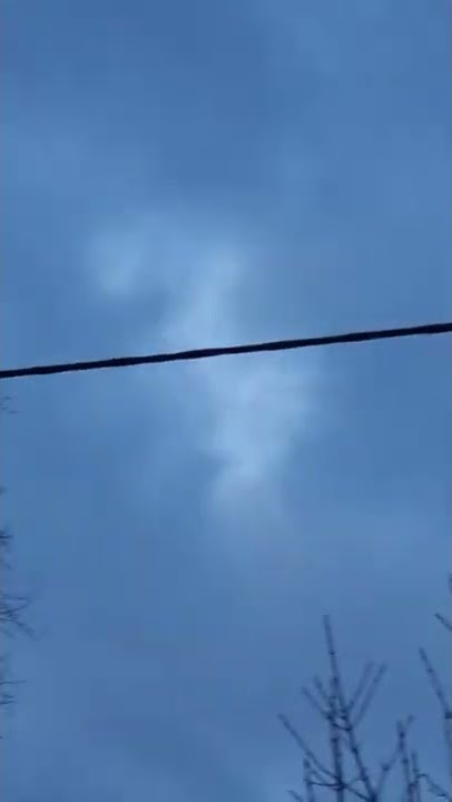 AMAZING BLUE SKIES BIRDS AND TREES