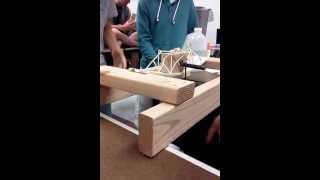 Our bridge holding 55lbs in computer drafting.