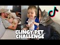 Why you should get a dog  cat  clingy pet challenge  pup machine 4