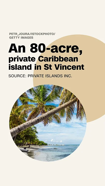 With  million, you can buy a private island… or this handbag