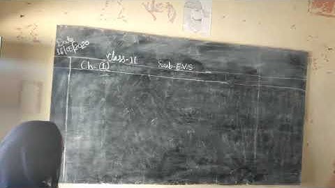 Class- 2 || Chapter- 1 How My Body Works || EVS || Exercise ||