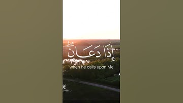بصوت القارئ مشاري راشد العفاسي