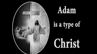 The Surprising Truth About Adam And Jesus