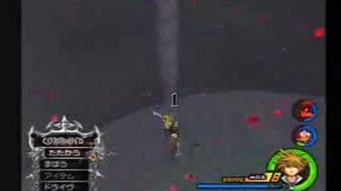 KH2FM - Marluxia Data No Damage/More Restrictions (LV1 CM)